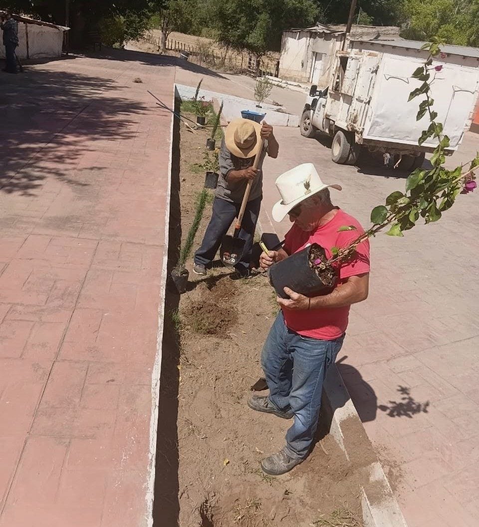 JORNADA DE REFORESTACIÓN EN DIVERSAS ÁREAS VERDES DEL MUNICIPIO